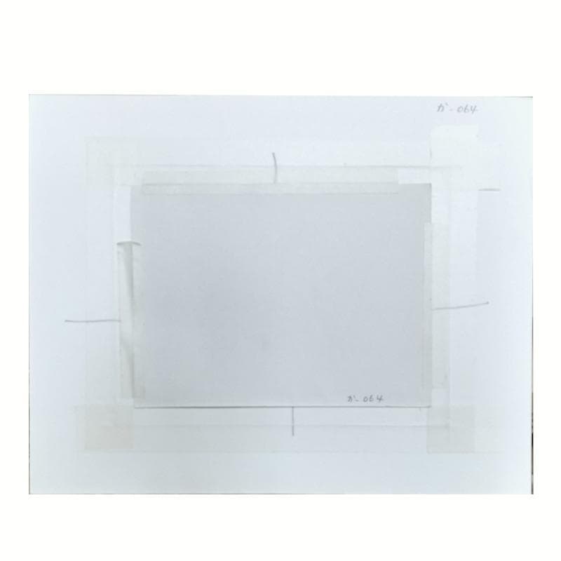 ☆坂本直行☆「 カンアオイ」筆書き インチサイズ 未使用！ - メルカリ