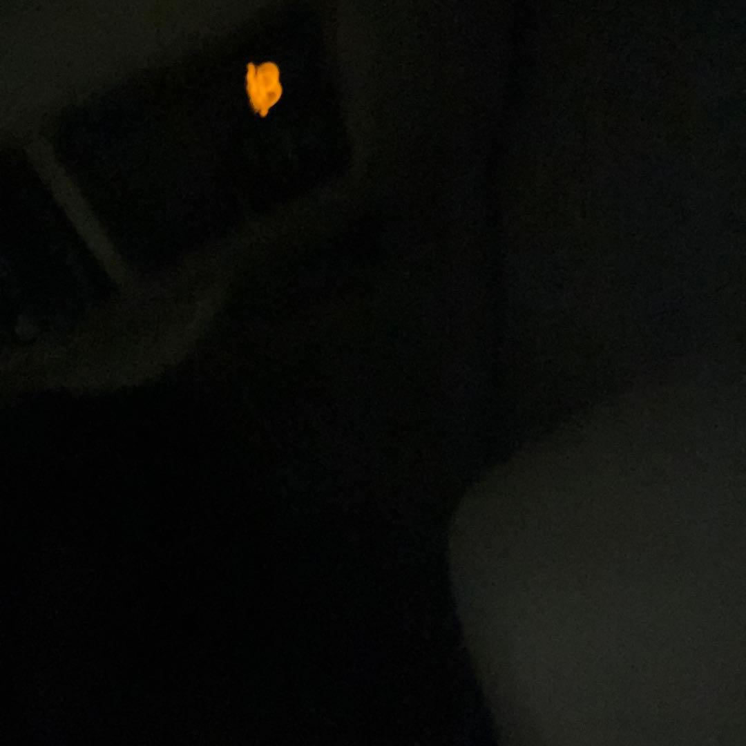 シャンプー Ex currency