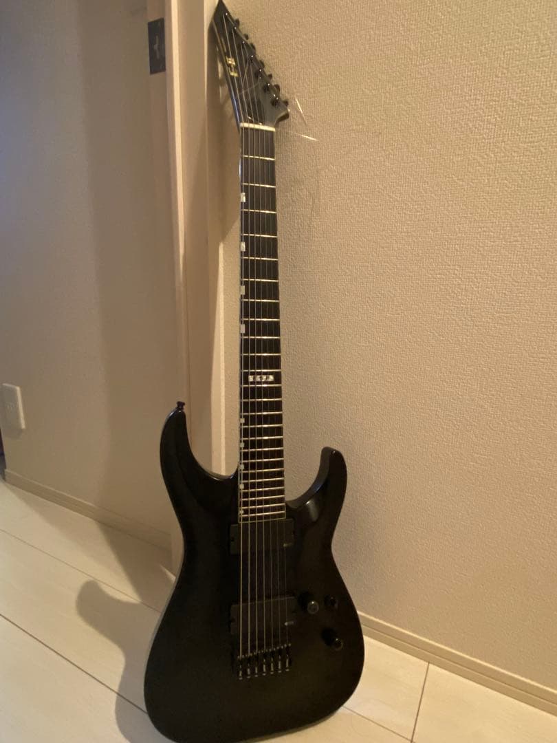 E-II HORIZON ハードケース有 使用頻度低