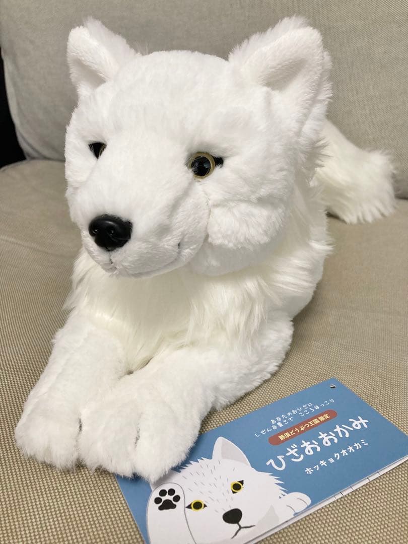 那須どうぶつ王国限定 ひざおおかみS ホッキョクオオカミ サンレモン