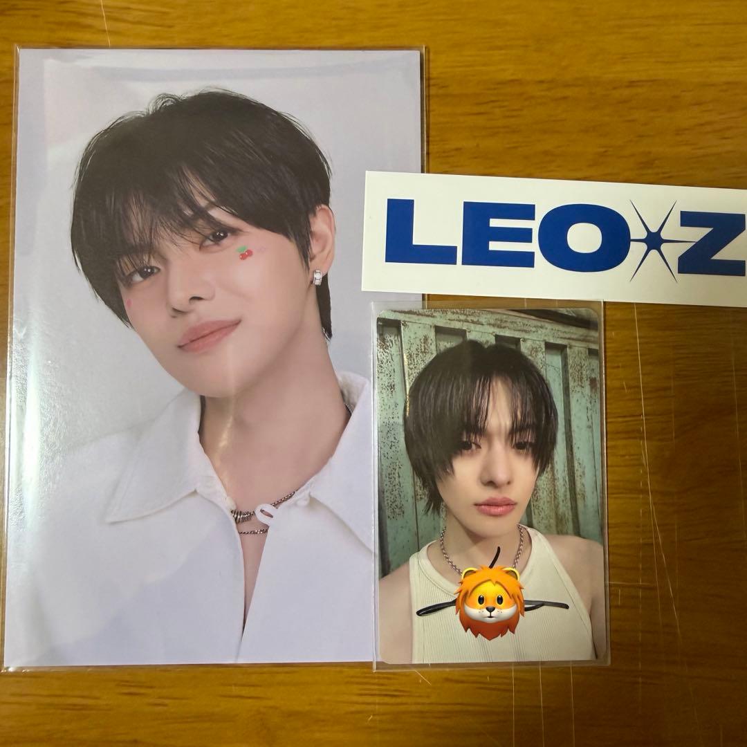 今週限定価格！ leo トレカ サイン come closer ミントモール / MINT 浦和店 / 2024 EPOCH 阪神タイガース STARS