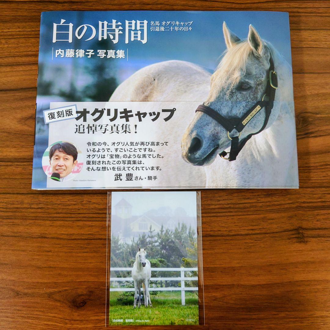 白の時間 : 名馬オグリキャップ引退後二十年の日々 : 内藤律子写真集