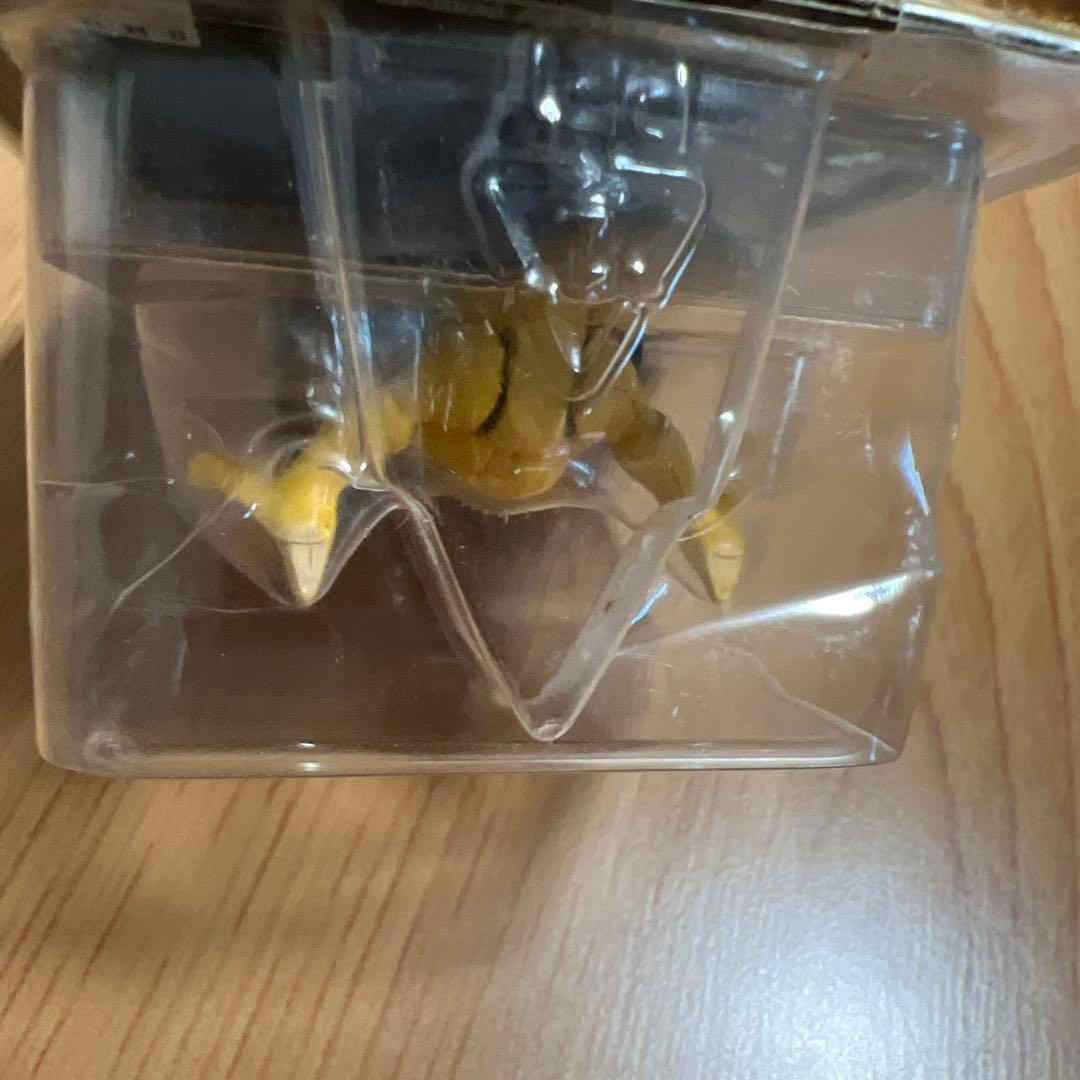 激レア 未開封 ポケモン モンコレ ケーシィ 黒パッケージ063