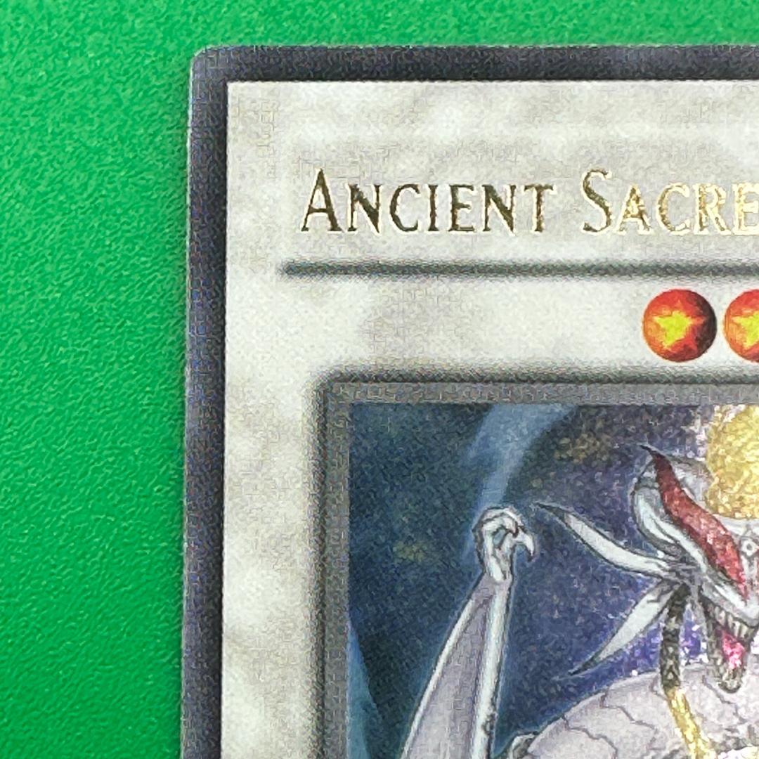 遊戯王 英語 エンシェント・ホーリー・ワイバーン ANPR レリーフ 海外