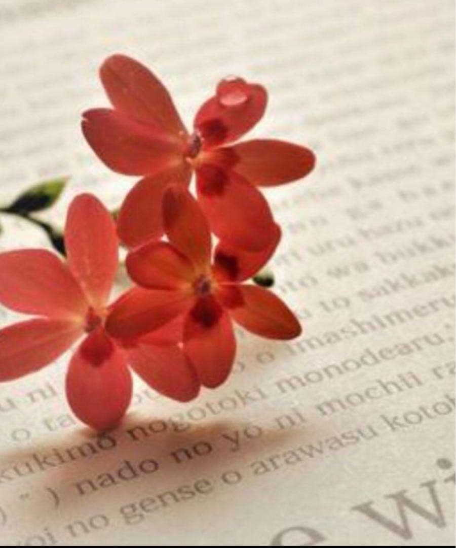 yu☆ ミルク ST M3