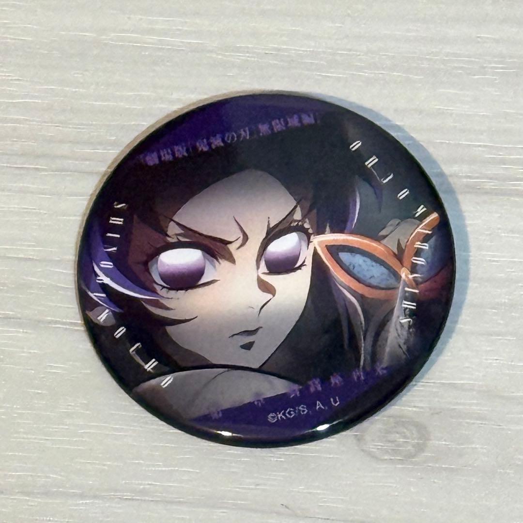 劇場版『鬼滅の刃無限城編』 ものがたる眼差し コレクション缶バッジB