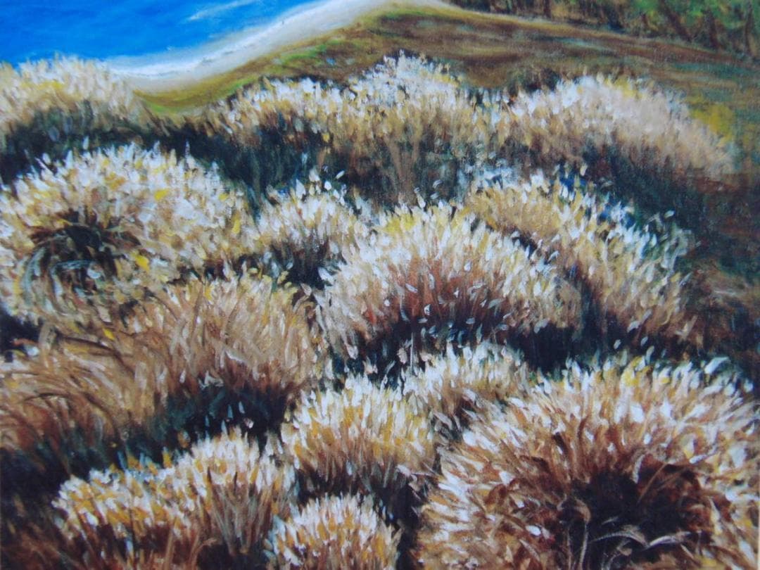 杉良太郎、「こんな場所」、希少な額装用画集より、新品高級額装付、状態良好 杉良太郎「芸を磨き、忖度のない真実の笑顔や涙を受け取れた」芸能と