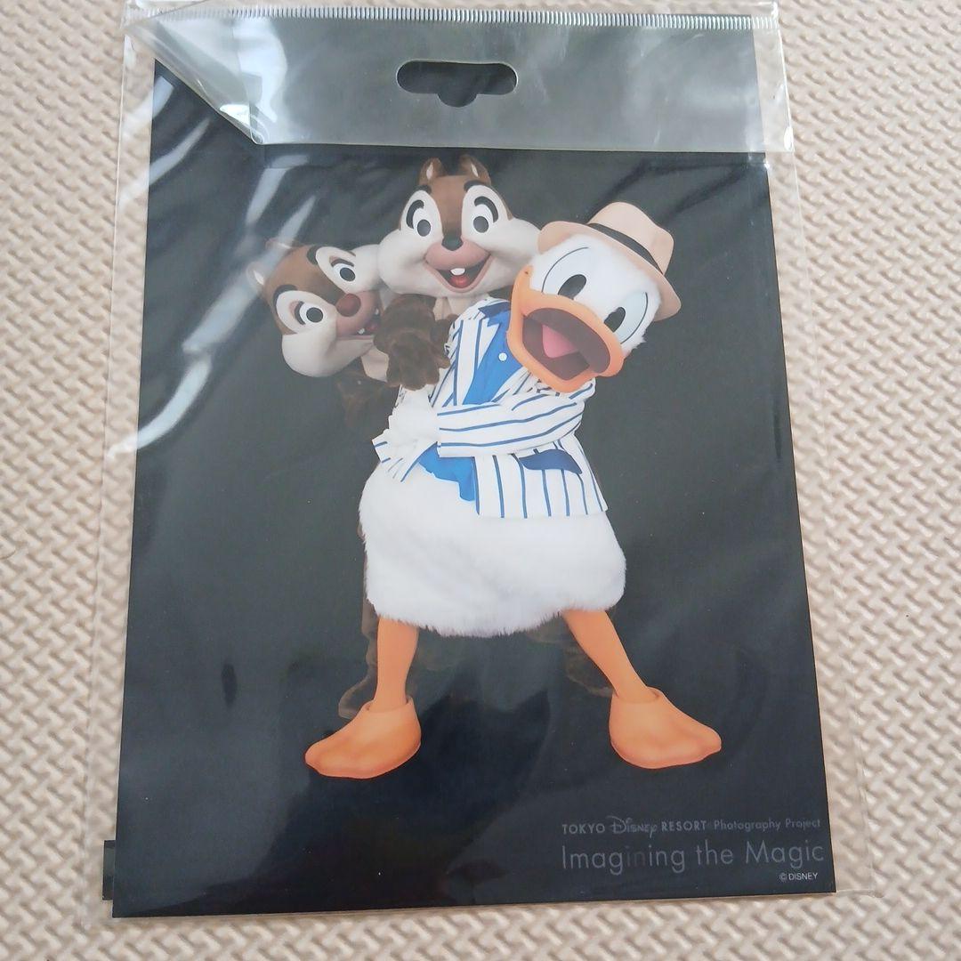 ディズニーリゾート フォトブロマイドセット イメージングザマジック 2