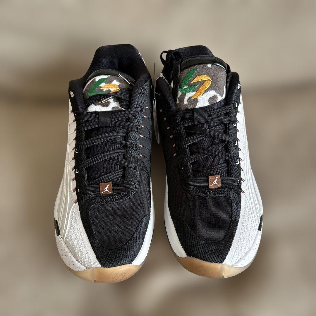 ナイキ ジョーダン ルカ4 GONE PF LUKA 4 PF 26cm