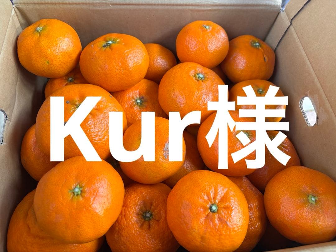 専用　訳あり甘平10キロ