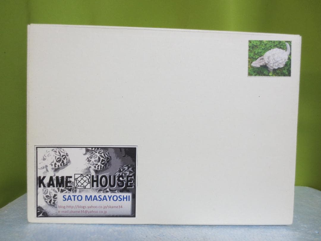 KAME HOUSE 幻獣の亀 フィギュア 完成品 22㎝ ガメラ - メルカリ