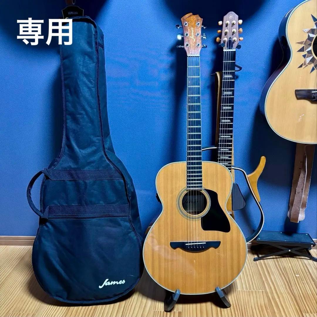 美品【トランスギター】James JF400-NAT ケース付き（値下げ中）