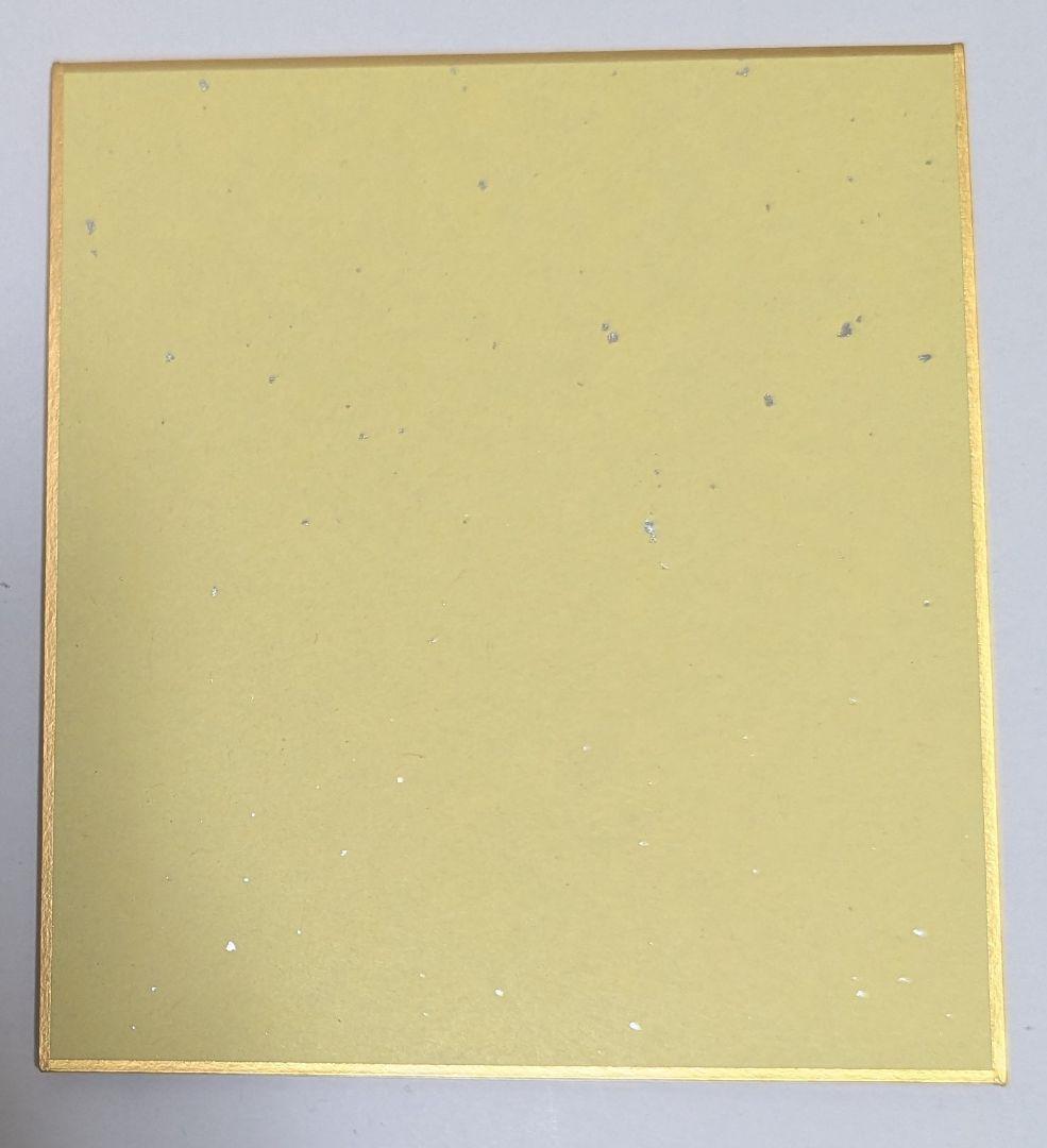 新機動戦記ガンダムW Endless Waltz 入場者特典 色紙 ヒイロ・ユイ