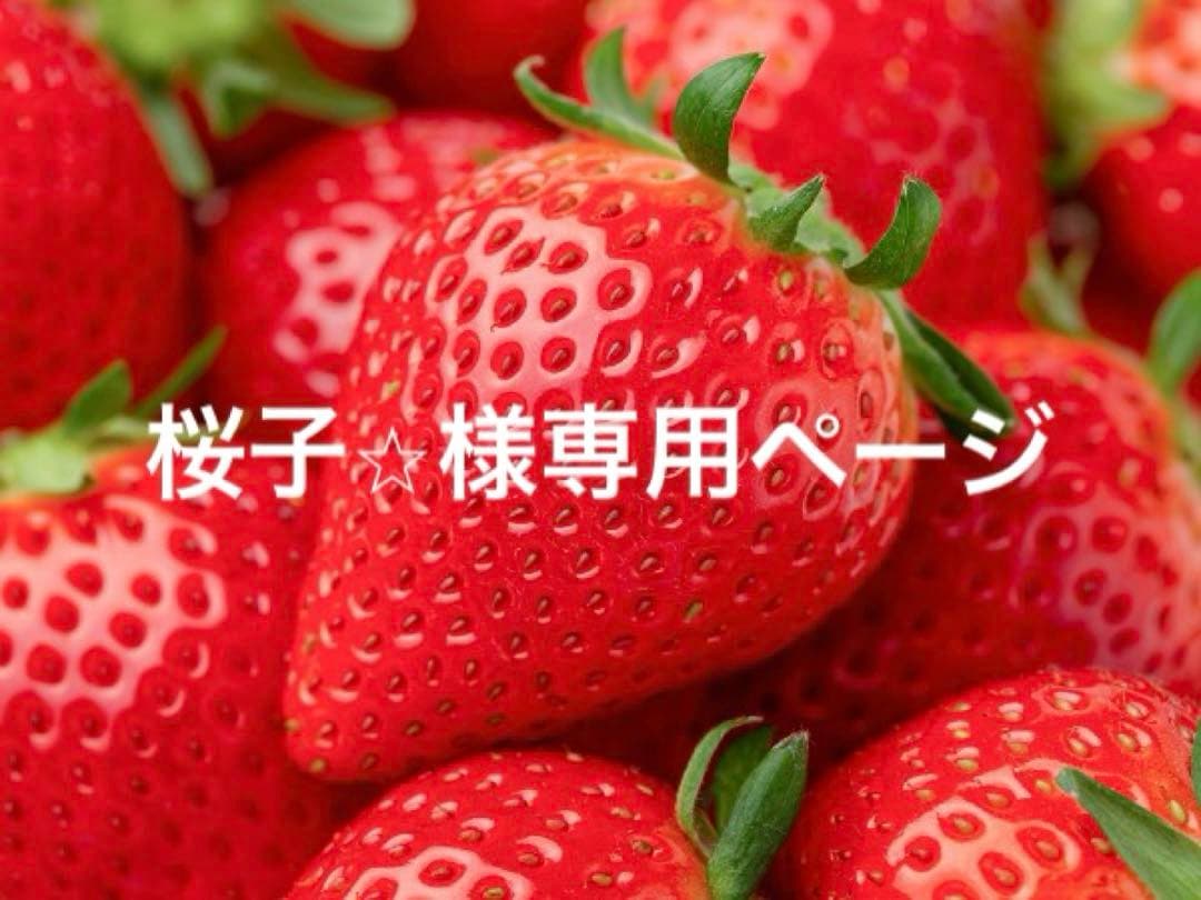 桜子⭐︎ページ