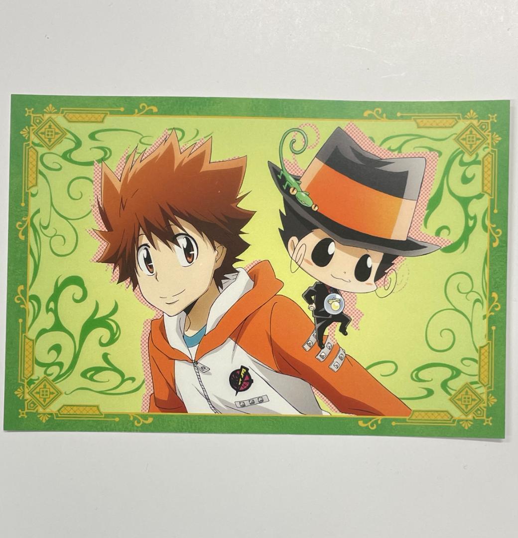 家庭教師ヒットマンREBORN! ポストカード 10年後 沢田綱吉 リボーン