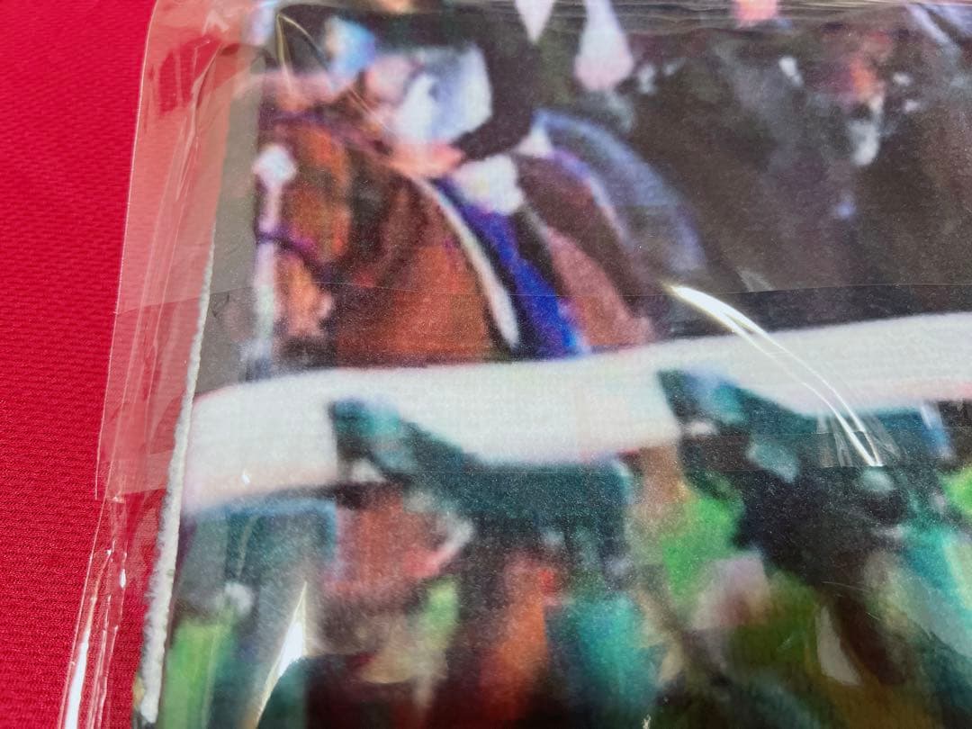 パンサラッサ】引退記念 ジャンボバスタオル 中山競馬場 - メルカリ