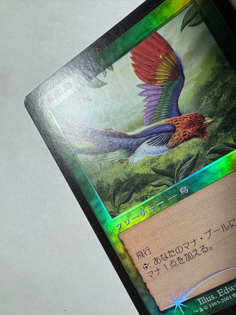 希少】MTG 7版日本語旧枠Foil極楽鳥/Birds of Paradise - メルカリ
