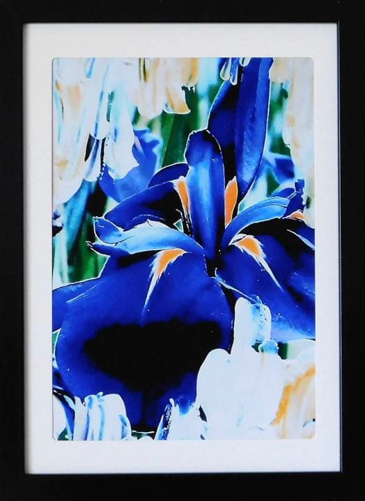 ＋ZEAMI　Untitled エディション作品　アートフェア 総勢約800作品】日本のアートシーンを牽引する24のギャラリーが集結