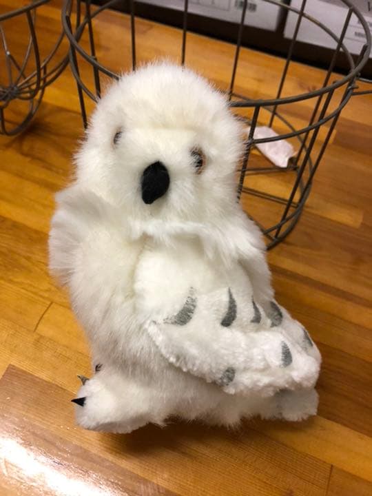 Harry Potter ヘドウィグ ぬいぐるみ 籠付き M109620441 - ぬいぐるみ