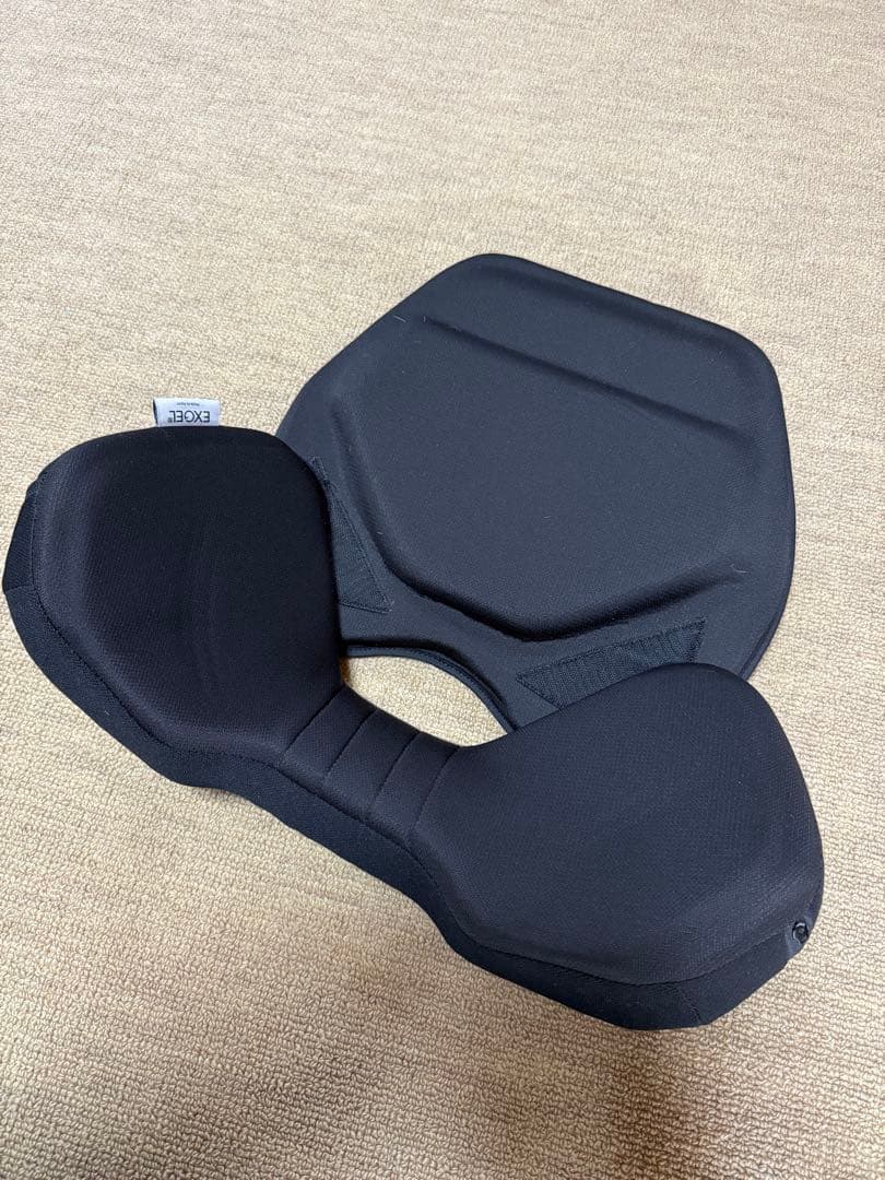 EXGEL エクスジェル 背中・腰サポートクッション HUD01-BK ブラック