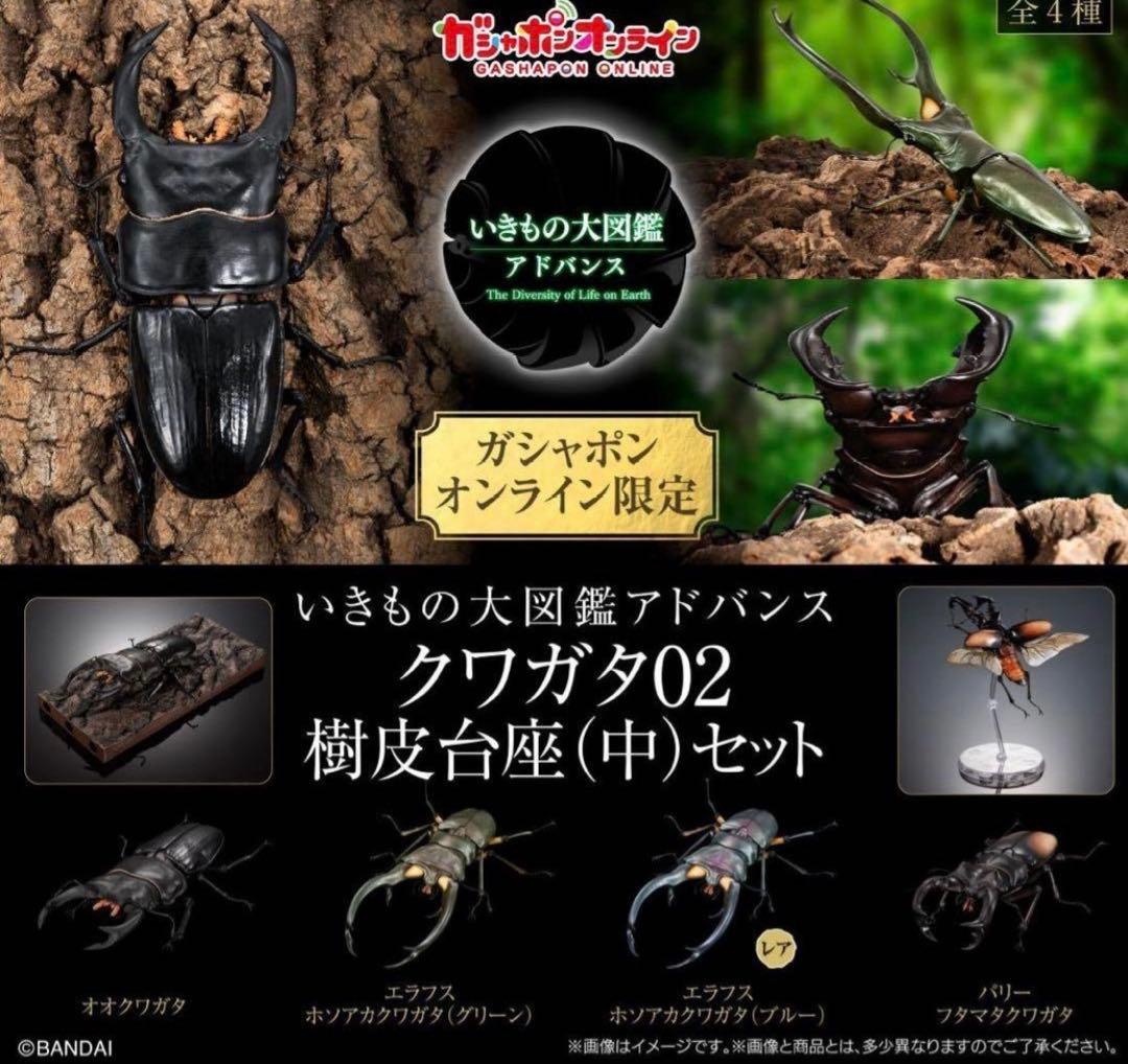 いきもの大図鑑 アドバンス クワガタ02 オンライン版 コンプ 計10個 いきもの大図鑑アドバンス クワガタ02 [レア含む全4種セット