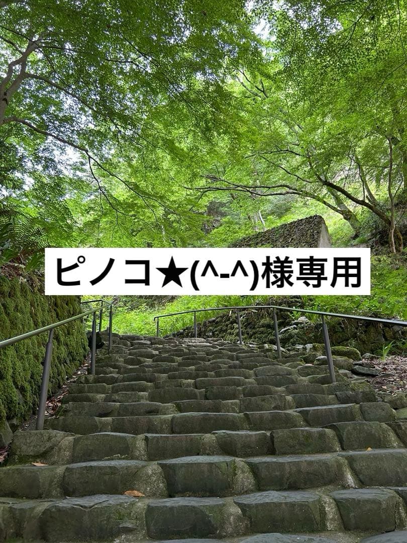 アイビー化粧品(化粧品1/乳液・クリーム2)