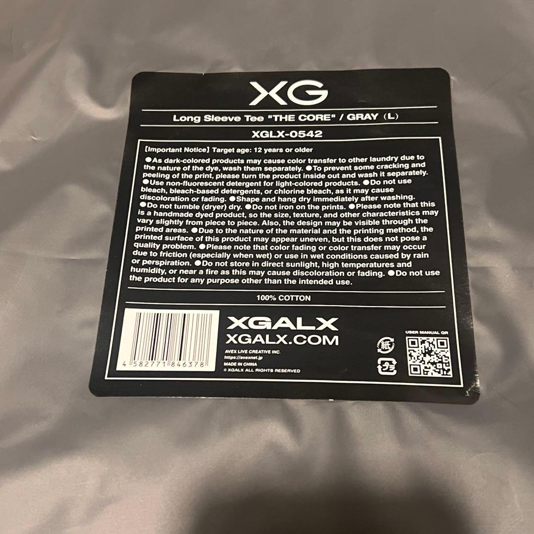 XG THE CORE ロンT グレー Lサイズ - メルカリ