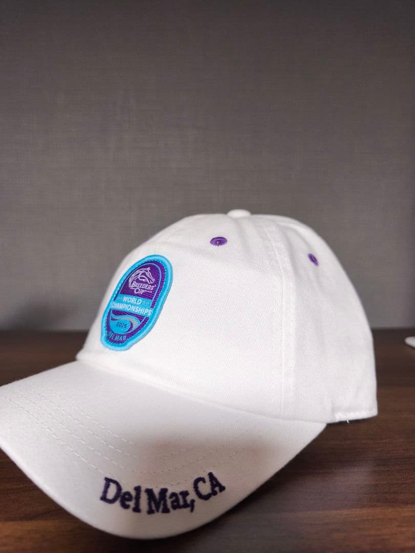 ブリーダーズカップ 2025 フォーエバーヤング キャップ 競馬 アメリカ