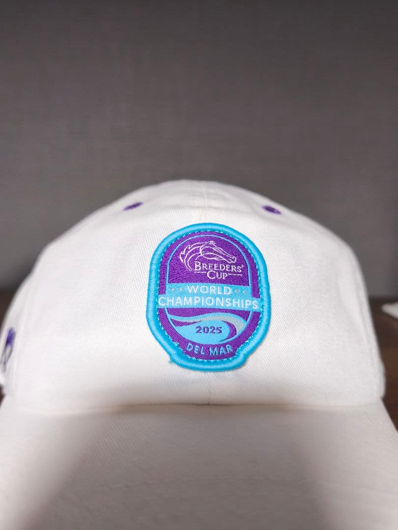 ブリーダーズカップ 2025 フォーエバーヤング キャップ 競馬 アメリカ