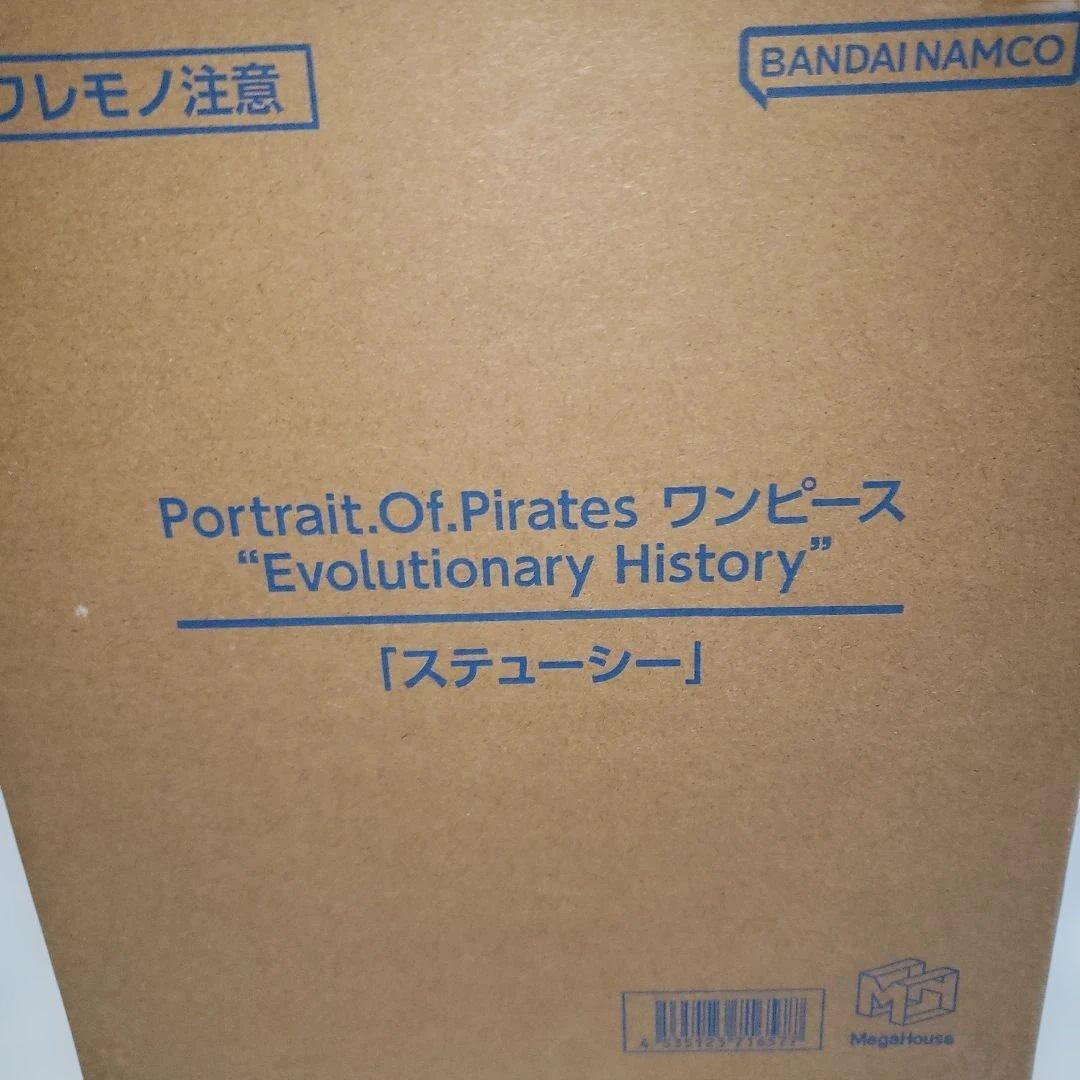 P.O.Pワンピース“Evolutionary History”「ステューシー」