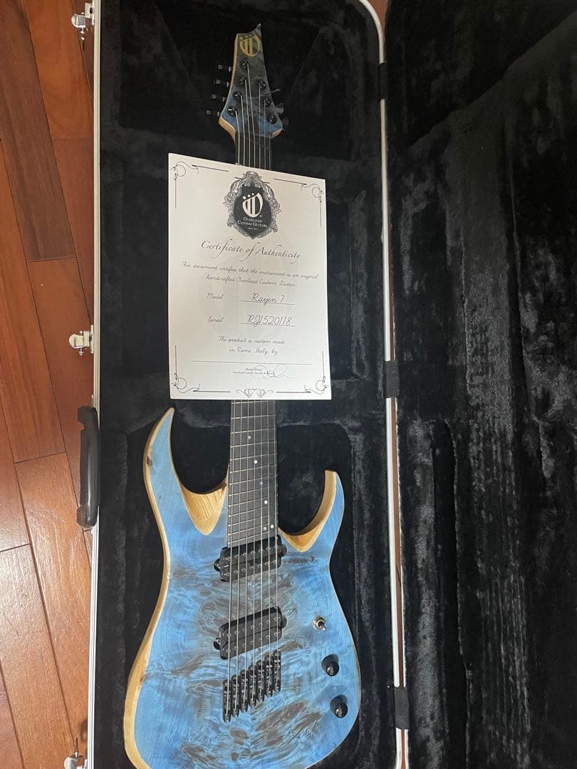 OVERLOAD Custom Guitars RAIJIN 7弦 - メルカリ