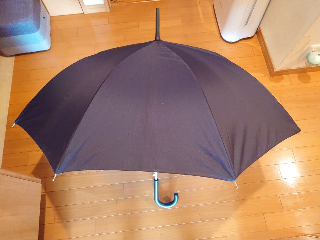 浜田省吾　傘　訳あり