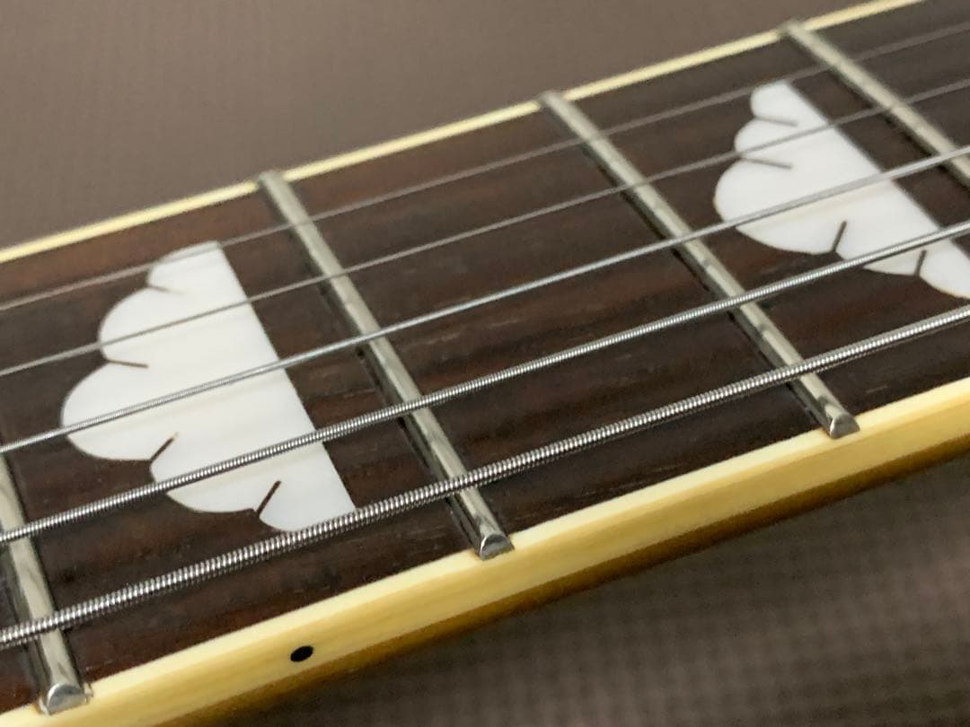 フォトジェニック Photo Genic モッキンバード エレキギター hide