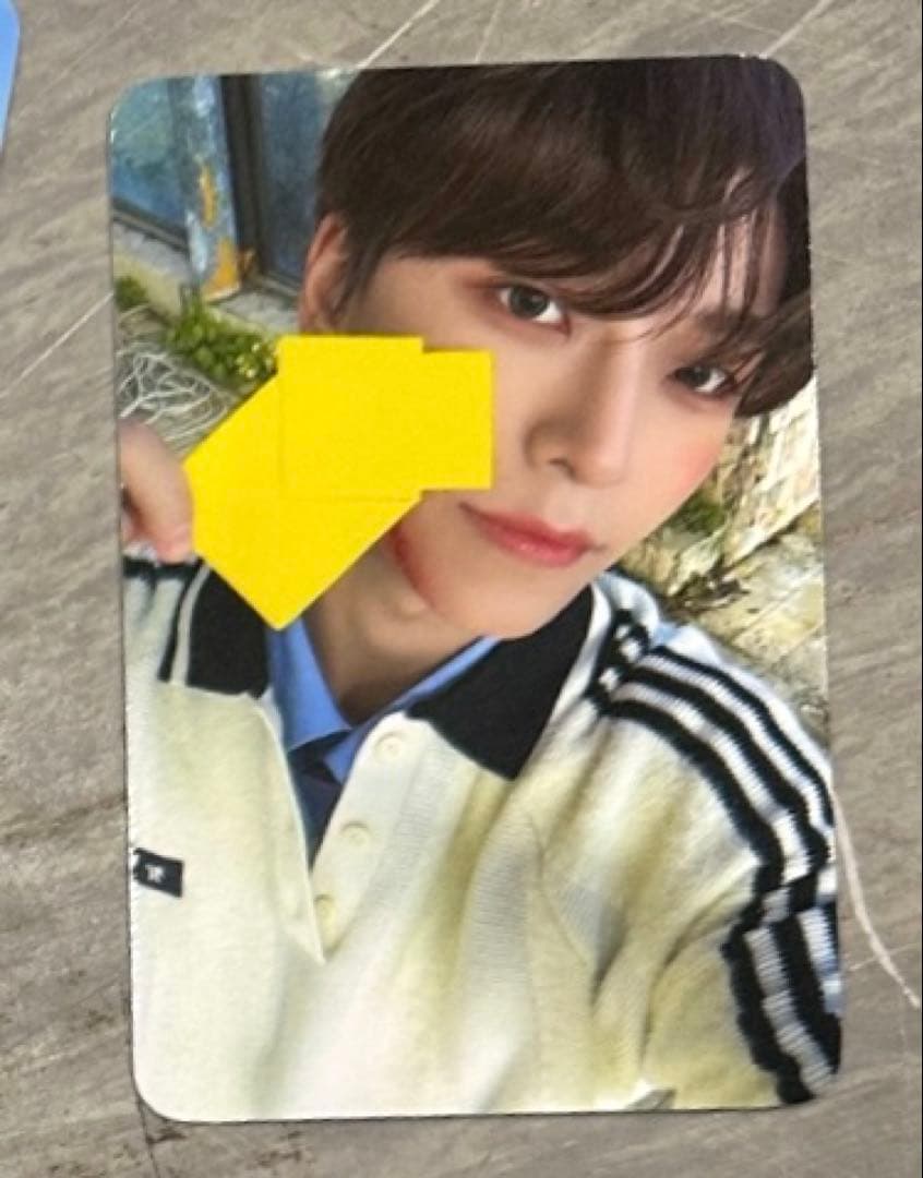 ALD1 シンロン デビュー ショーケース ショケ サノク 限定 トレカ ALD1 デビュー ショーケース ショケ サノク 限定 トレカ 8枚セットB