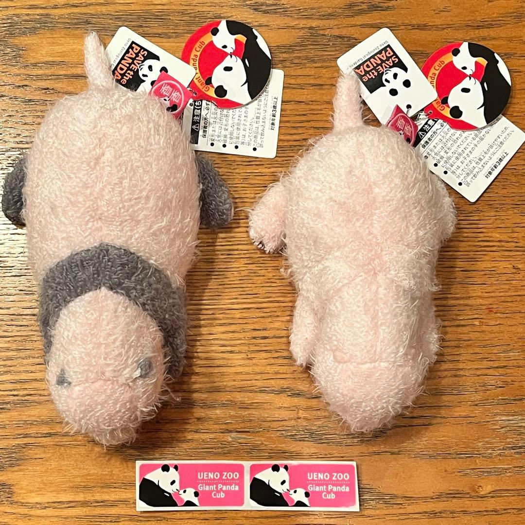 シャンシャン ぬいぐるみ「ほんとの大きさパンダの仔」 2体セット DVD