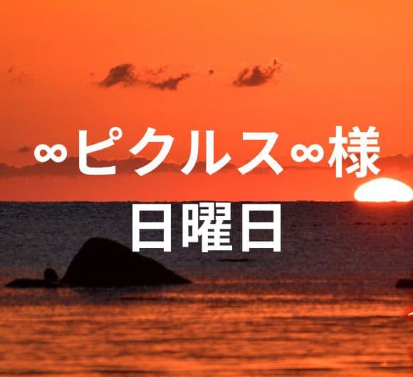 ∞ピクルス∞様　日曜日