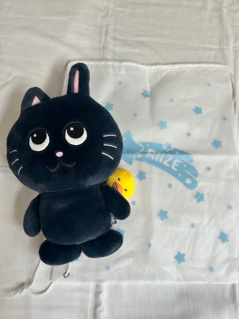 RIIZE ウォンビン トニャンドク 40cm ぬいぐるみ - メルカリ