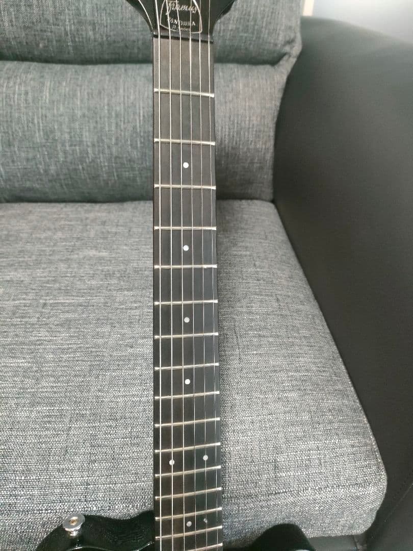 希少！Framus Dシリーズ Panthera Supreme フラマス - メルカリ