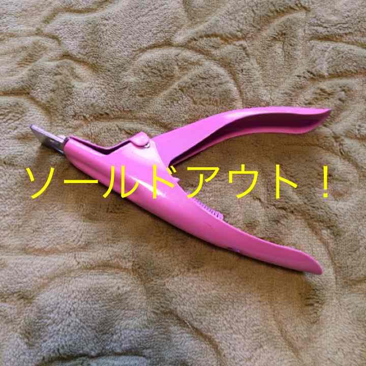 売り切れました！