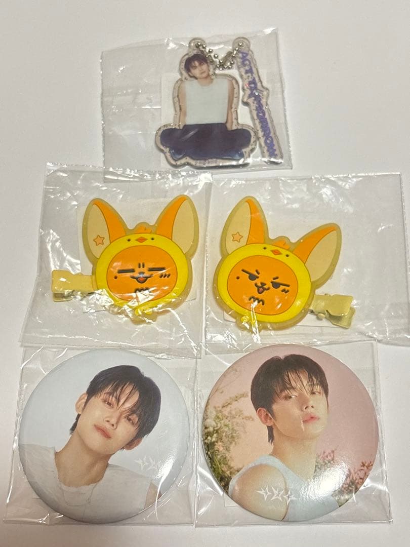 ヨンジュン　ファンチュン　カプセルトイ　コンプリートセット