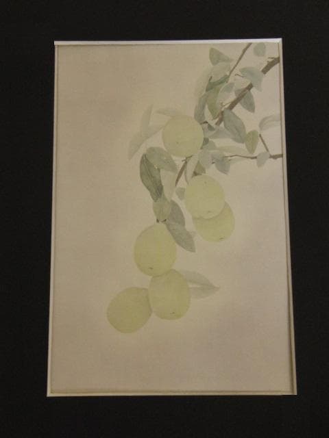 村田茂樹、【かりん】、希少な額装用画集より、新品額装付