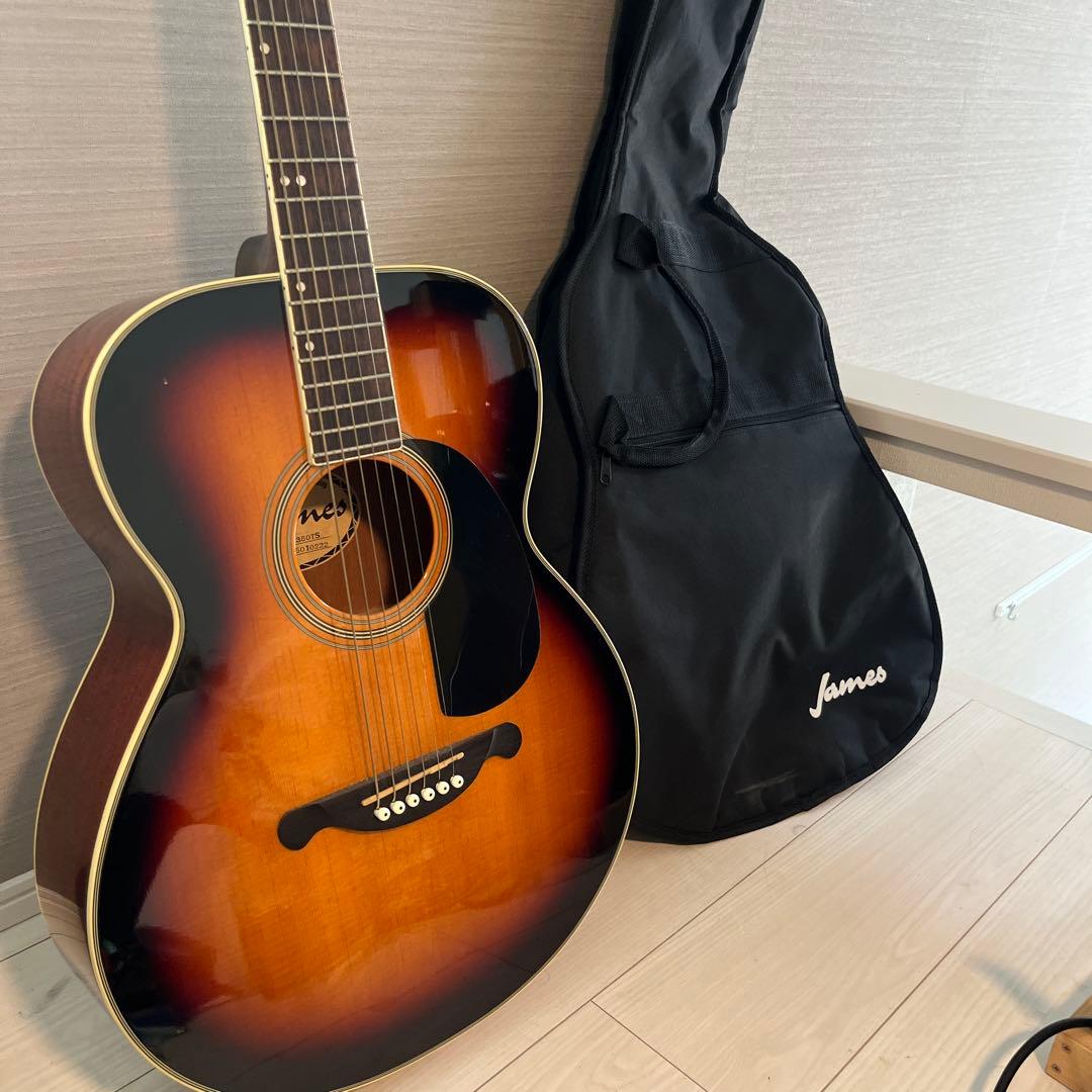 James JF350 アコースティックギター