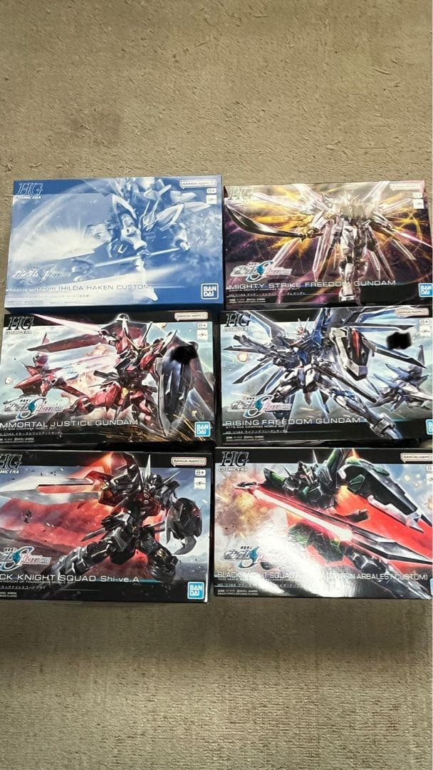 HG、RG ガンダムSEED freedom セット