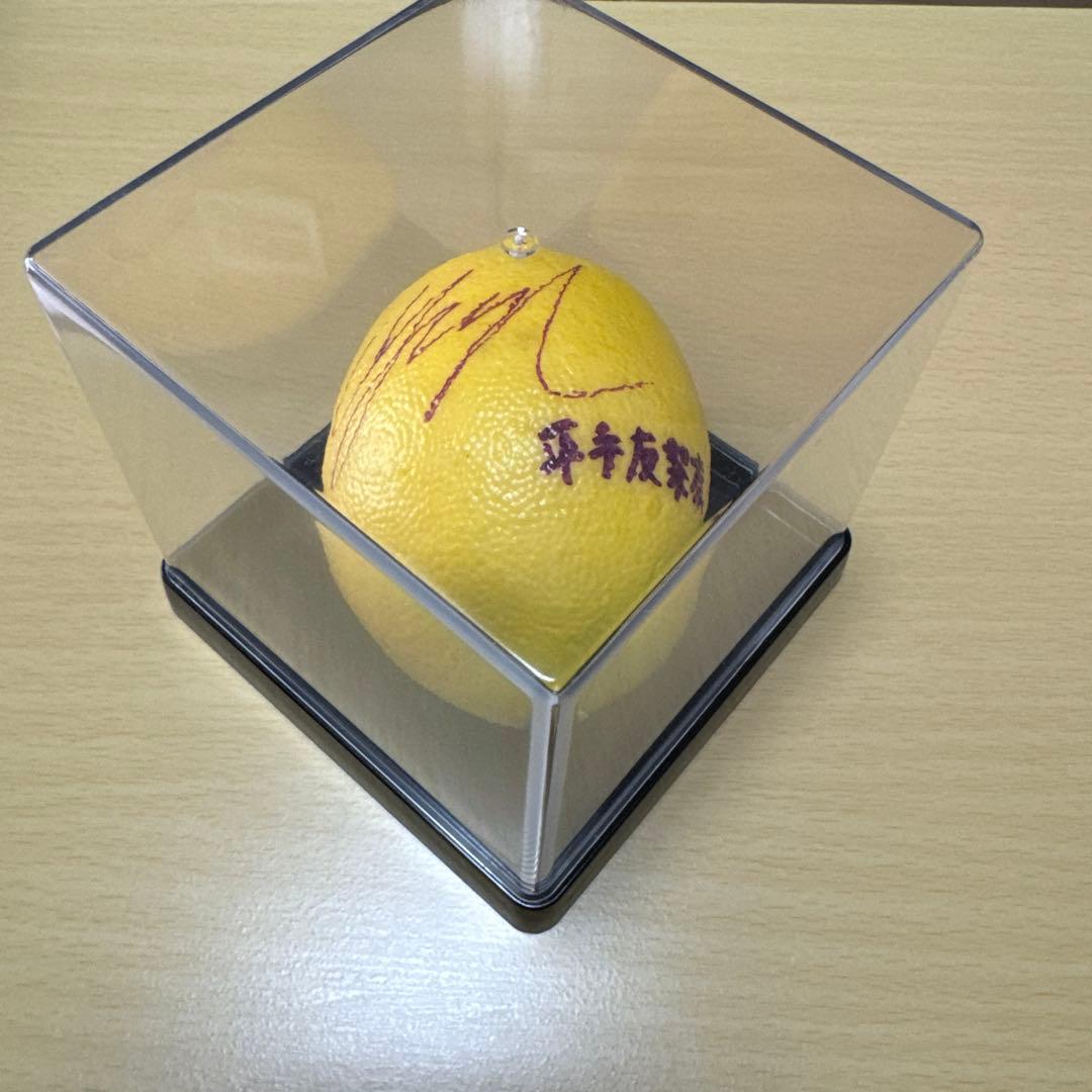 平手友梨奈 欅坂46 ザ・テレビジョン サイン入りレプリカレモン ※当選通知