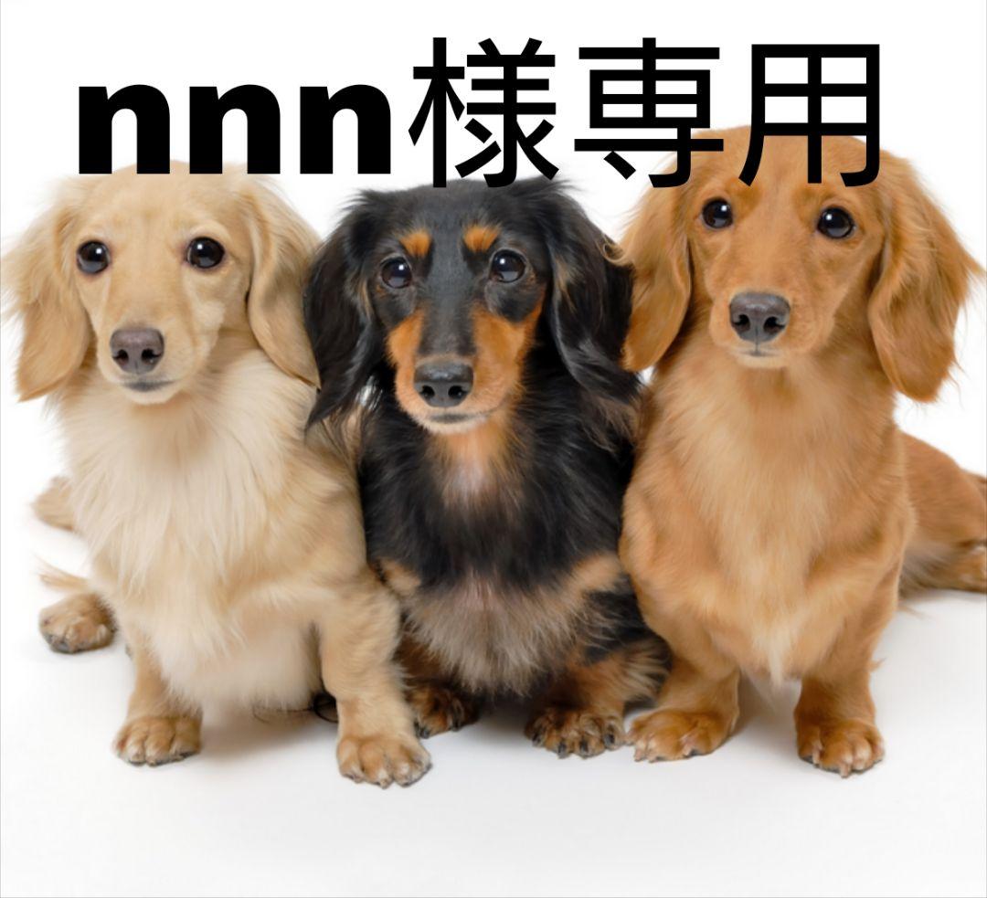 nnn ポケモンカード デッキシールド スリーブ 77枚