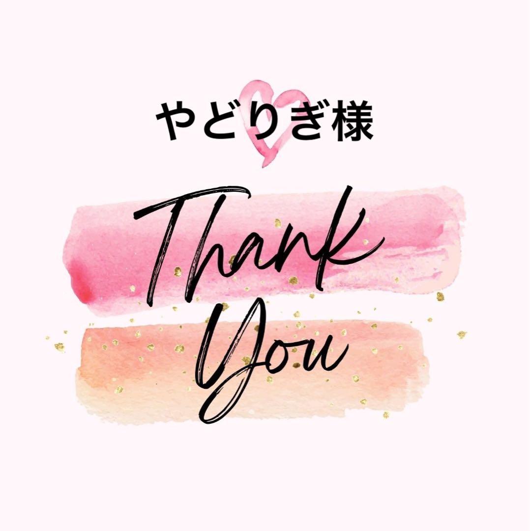 やどりぎ様 トリックスター / Ninja ZX-4RR / ZX-4R SE(24-26) 政府認証スリップ