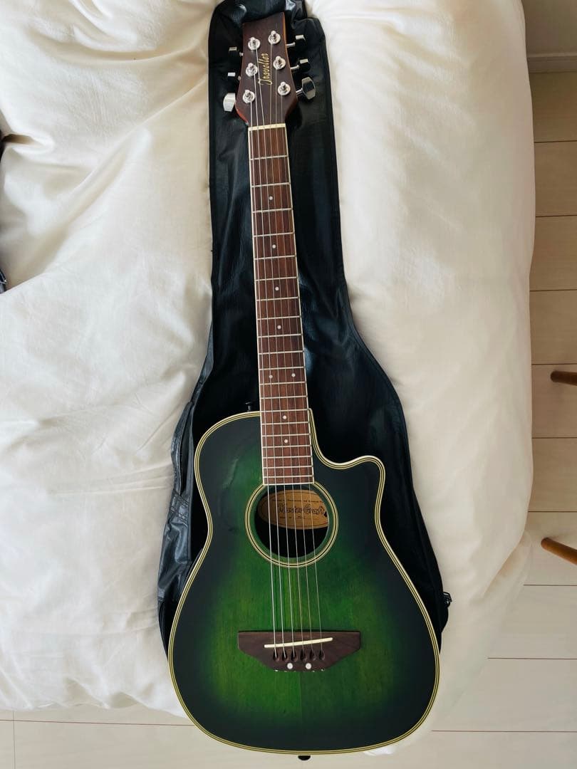 【たいきたいきん】マスタークラフト　ミニエレアコギター