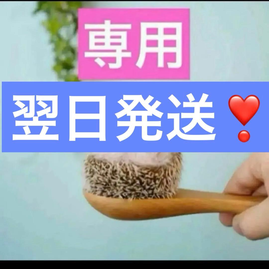 3点、ニュイ、プレミエ、アンテグラール