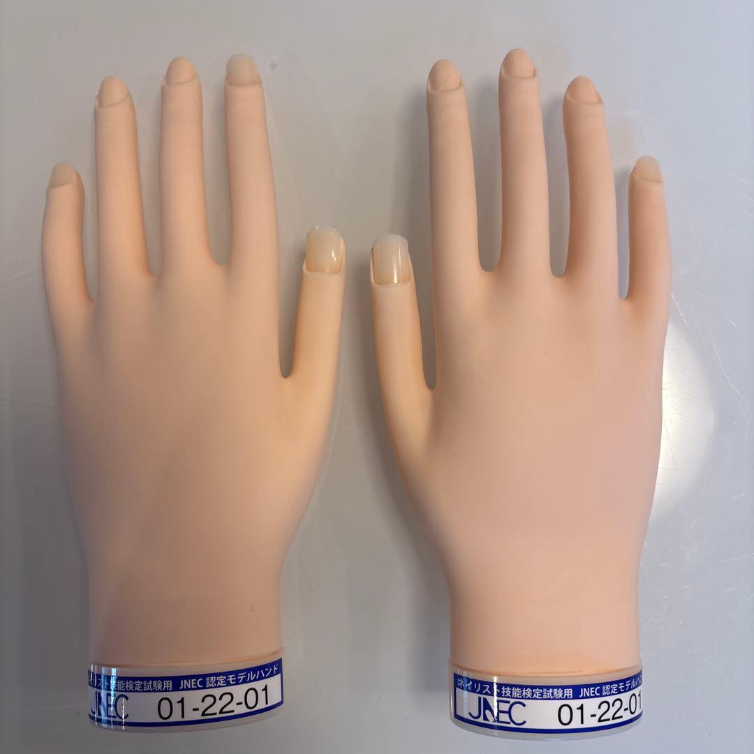 JNEC ネイルアート練習用手モデル 01-22-01