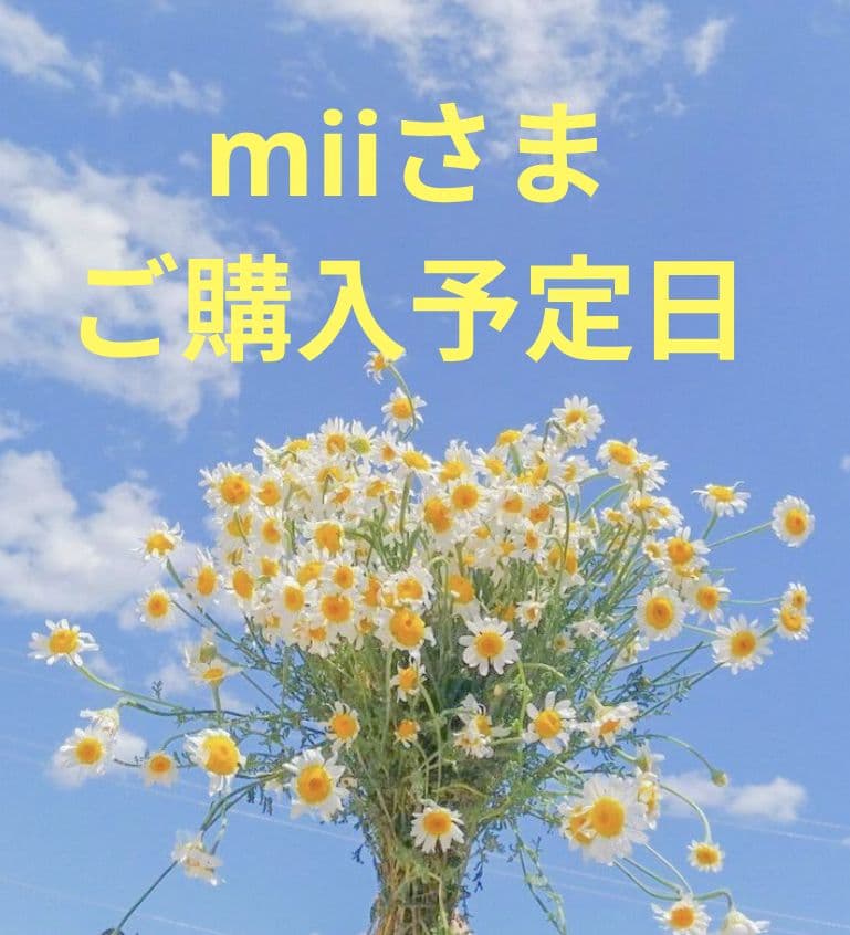 【新品】MIKI HOUSE ベビー服セット（ドレス・シャツ・タイツ）